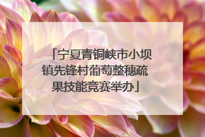 宁夏青铜峡市小坝镇先锋村葡萄整穗疏果技能竞赛举办
